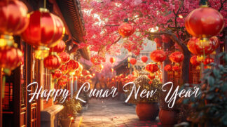 Happy Lunar New Year - Street Decorations